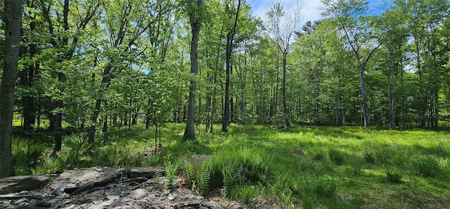 LOT61 Cushetunk Dr, Cochecton, NY 12726