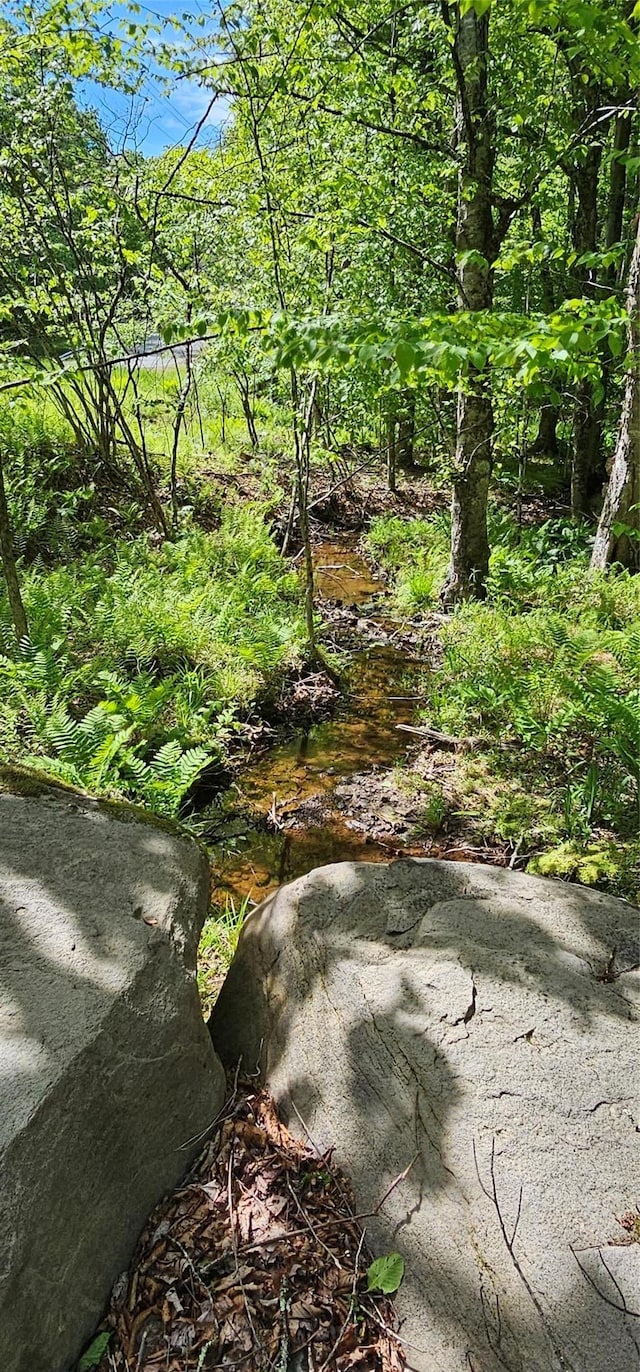 LOT61 Cushetunk Dr, Cochecton, NY 12726