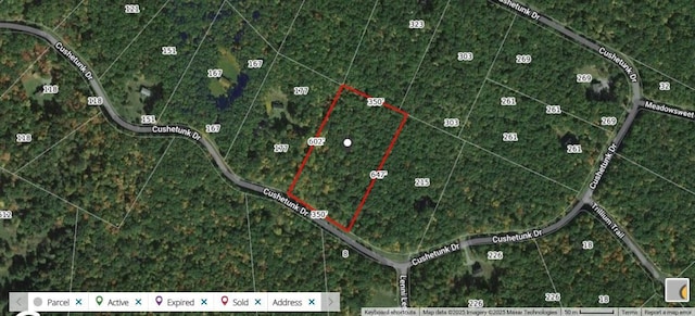 LOT61 Cushetunk Dr, Cochecton, NY 12726