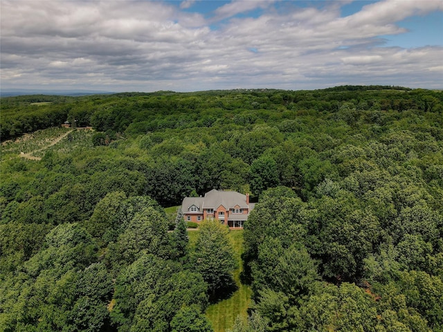 42 Panorama Dr, Warwick, NY 10990 - view of subject property with a heavily wooded area