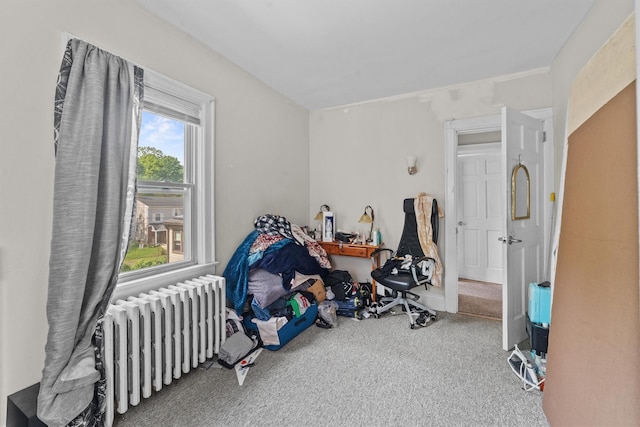 107 Underhill Ave, West Harrison, NY 10604 - bedroom with radiator and carpet floors
