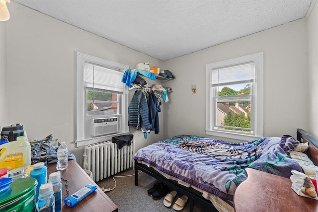 107 Underhill Ave, West Harrison, NY 10604 - bedroom featuring radiator, multiple windows, carpet, and a textured ceiling