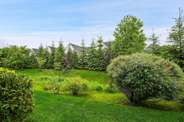 5 Rose Ln, Rye Brook, NY 10573 - view of yard
