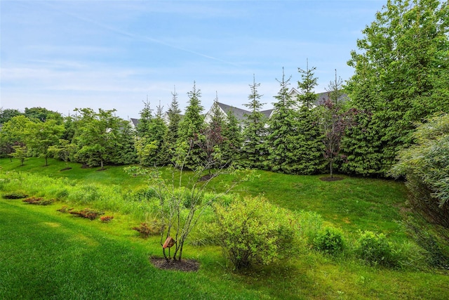 5 Rose Ln, Rye Brook, NY 10573 - view of yard