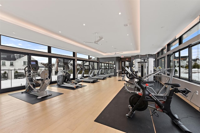 5 Rose Ln, Rye Brook, NY 10573 - workout area featuring plenty of natural light, ceiling fan, wood finished floors, and a raised ceiling