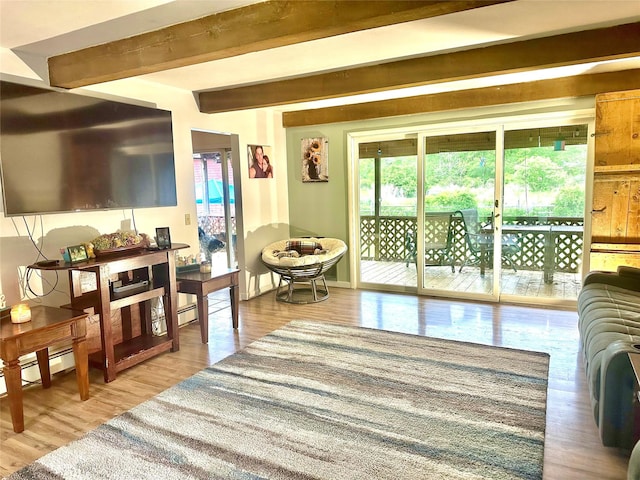 5646 Rte 82, Clinton Corners, NY 12514 - living room with beamed ceiling, wood finished floors, and baseboards