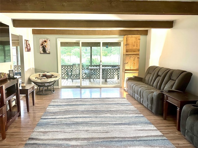 5646 Rte 82, Clinton Corners, NY 12514 - living area featuring wood finished floors and beam ceiling