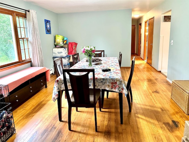 5646 Rte 82, Clinton Corners, NY 12514 - dining area featuring light wood-type flooring and a baseboard heating unit