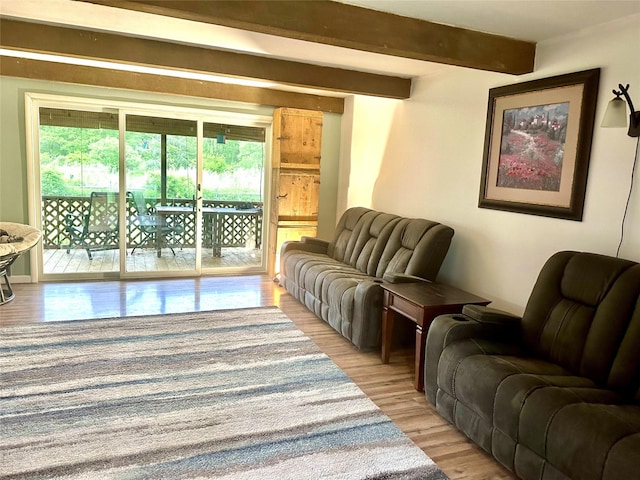 5646 Rte 82, Clinton Corners, NY 12514 - living area featuring light wood finished floors and beam ceiling