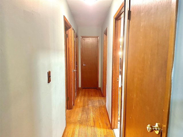 5646 Rte 82, Clinton Corners, NY 12514 - corridor featuring light wood-type flooring