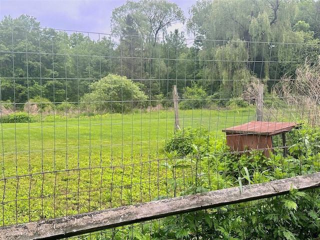 5646 Rte 82, Clinton Corners, NY 12514 - view of yard featuring a forest view
