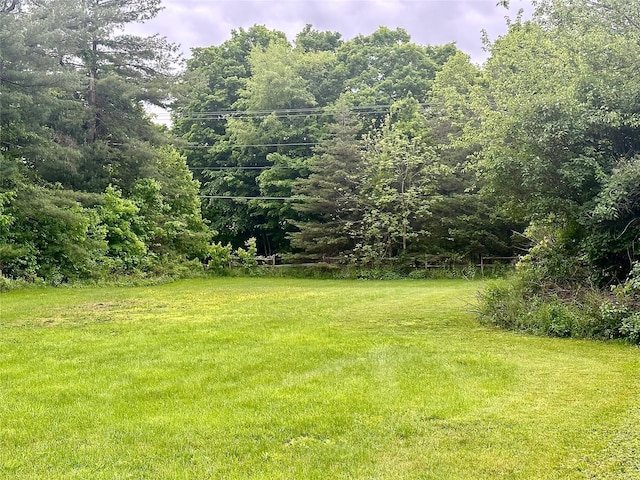 5646 Rte 82, Clinton Corners, NY 12514 - view of green lawn featuring a forest view