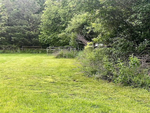 5646 Rte 82, Clinton Corners, NY 12514 - view of grassy yard featuring a forest view
