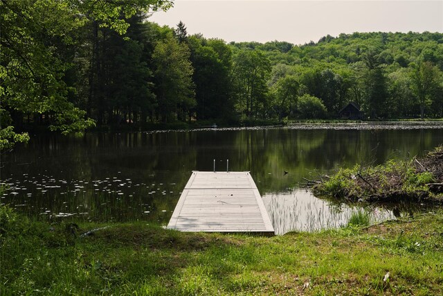 5697 State Route 52, Kenoza Lake, NY 12750 - photo 2