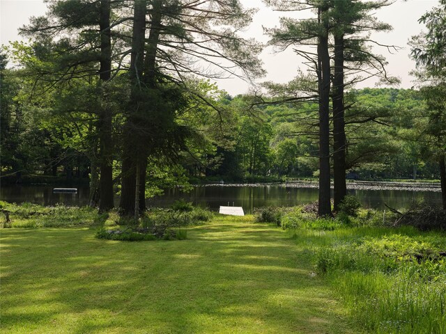 5697 State Route 52, Kenoza Lake, NY 12750 - photo 27