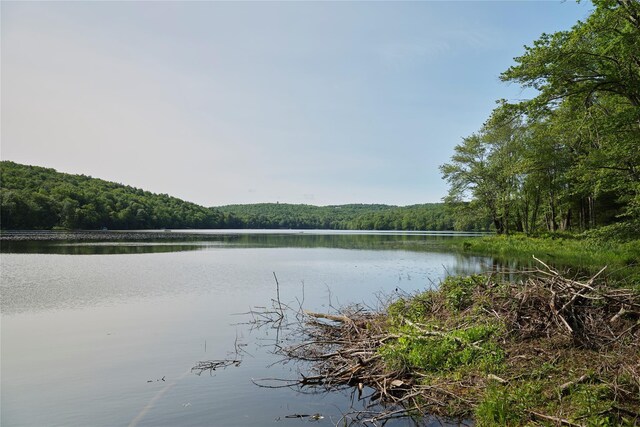 5697 State Route 52, Kenoza Lake, NY 12750 - photo 29