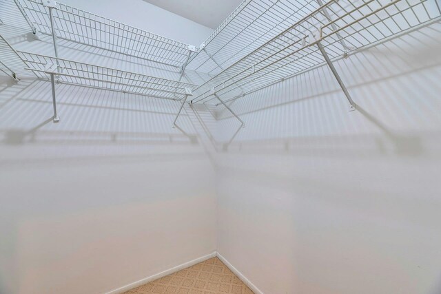 276 Dockside Ct, Moriches, NY 11955 - spacious closet with light colored carpet