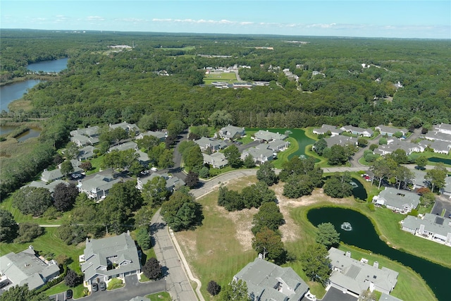 276 Dockside Ct, Moriches, NY 11955 - aerial overview of property's location with a nearby body of water, a forest, and nearby suburban area