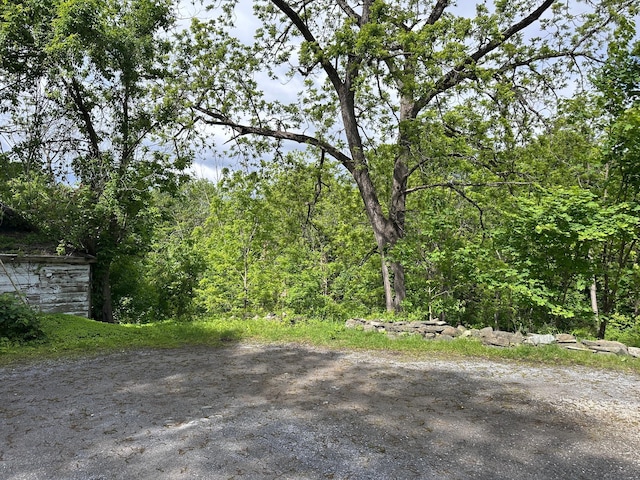 19 N Rd, Highland, NY 12528 - view of yard featuring a forest view