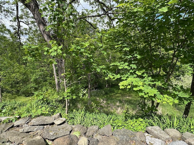 19 N Rd, Highland, NY 12528 - view of local wilderness
