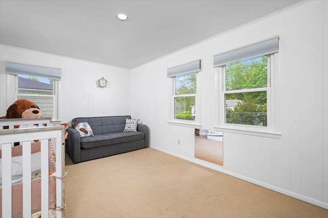 71 Harlan Dr, New Rochelle, NY 10804 - bedroom featuring carpet, multiple windows, and a crib