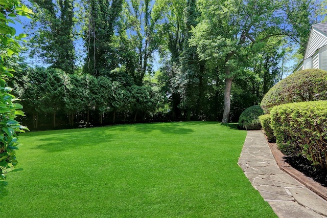 14 Wainscott Ln, East Setauket, NY 11733 - view of grassy yard