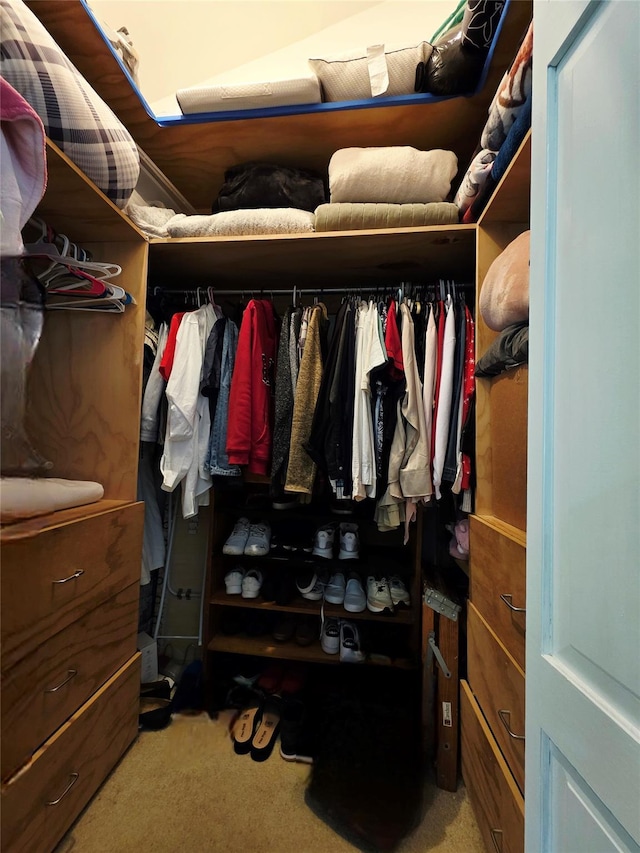 81 Anchor St, Riverhead, NY 11901 - walk in closet featuring carpet floors