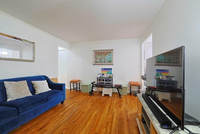 780 Bronx River Rd Unit A16, Bronx, NY 10708 - living room with light wood-style floors