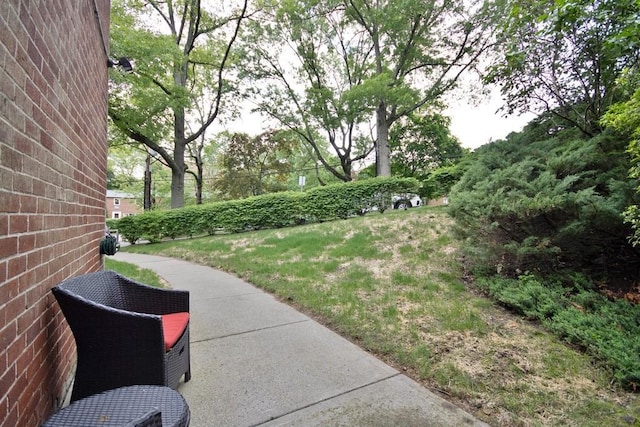 95 Charter Cir Unit 95, Ossining, NY 10562 - view of yard