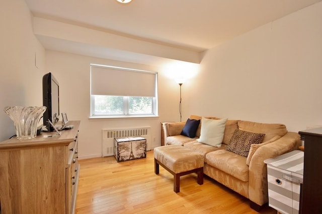 95 Charter Cir Unit 95, Ossining, NY 10562 - living area featuring radiator, light wood-style floors, and baseboards