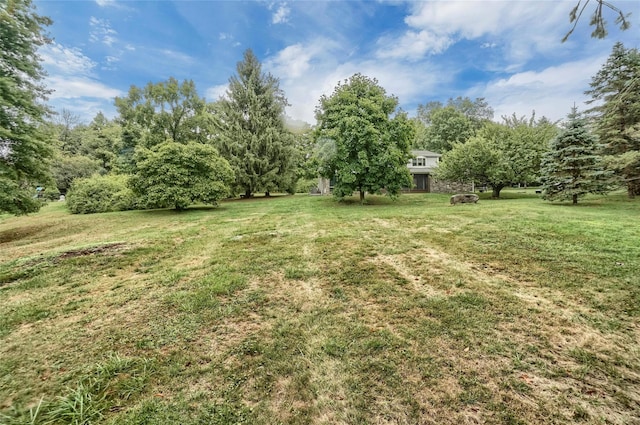 6 Emily Ln, Monroe, NY 10950 - view of green lawn