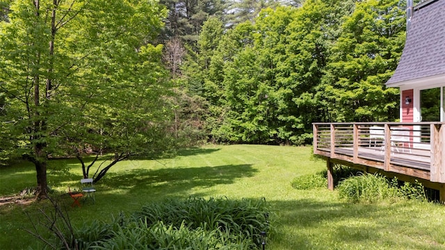 1521 Wittenberg Rd, Shandaken, NY 12457 - photo 29