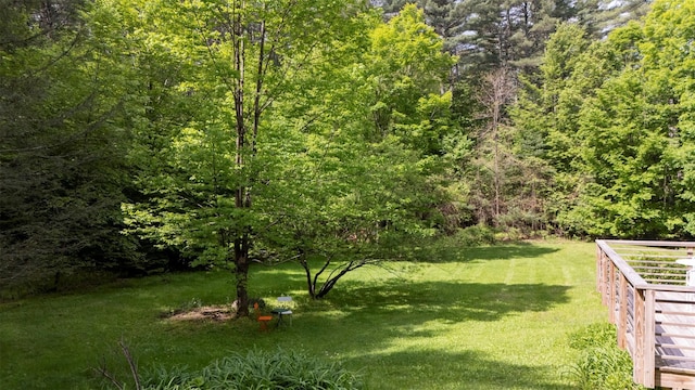 1521 Wittenberg Rd, Shandaken, NY 12457 - photo 30