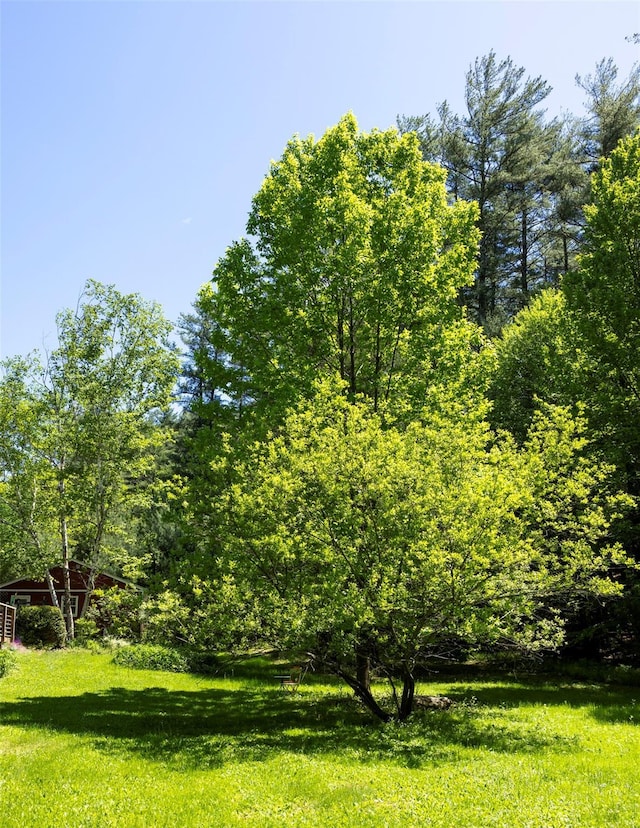 1521 Wittenberg Rd, Shandaken, NY 12457 - photo 35