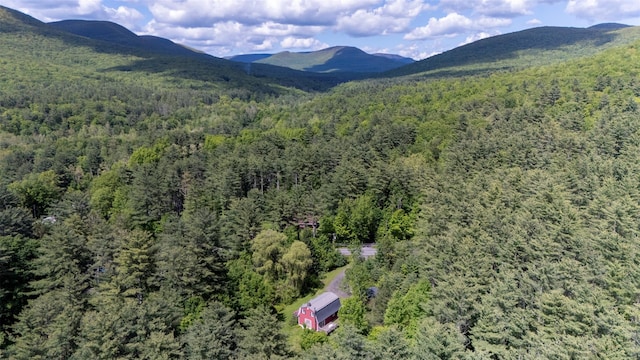 1521 Wittenberg Rd, Shandaken, NY 12457 - photo 2