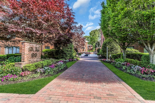 99 S Park # 308, Rockville Centre, NY 11570 - view of property's community