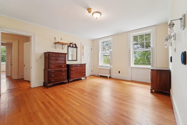 90 Main St, Chester, NY 10918 - unfurnished bedroom featuring radiator heating unit, light wood-type flooring, and multiple windows