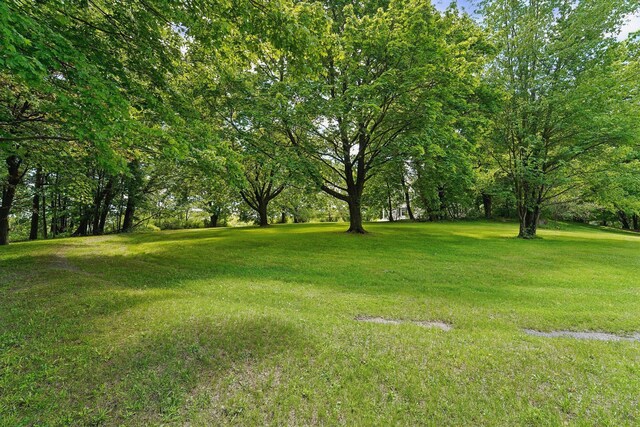 90 Main St, Chester, NY 10918 - view of grassy yard