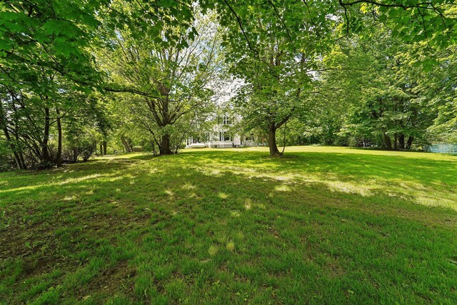 90 Main St, Chester, NY 10918 - view of green lawn