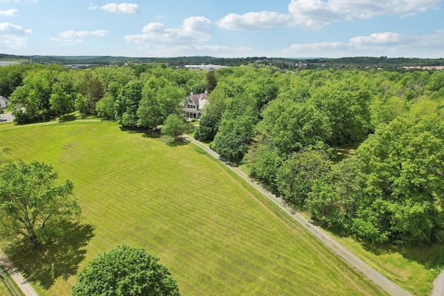90 Main St, Chester, NY 10918 - drone / aerial view