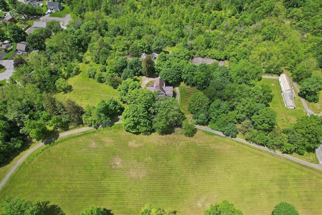 90 Main St, Chester, NY 10918 - bird's eye view