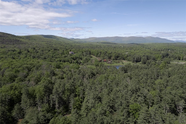 300 Mt Laurel Rd, Kerhonkson, NY 12446