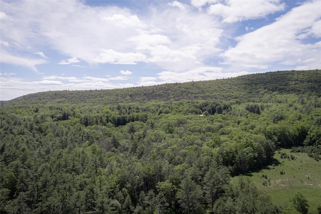 300 Mt Laurel Rd, Kerhonkson, NY 12446