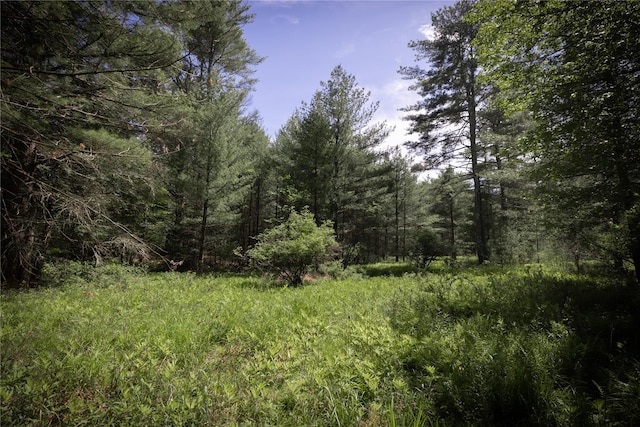 300 Mt Laurel Rd, Kerhonkson, NY 12446
