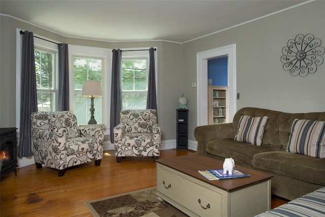 36 Elm St, Pawling, NY 12564 - living room with dark wood-style floors, crown molding, and baseboards