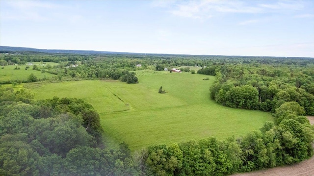 4248 Western Tpke, Call Listing Agent, NY 12009 - aerial view of a forest