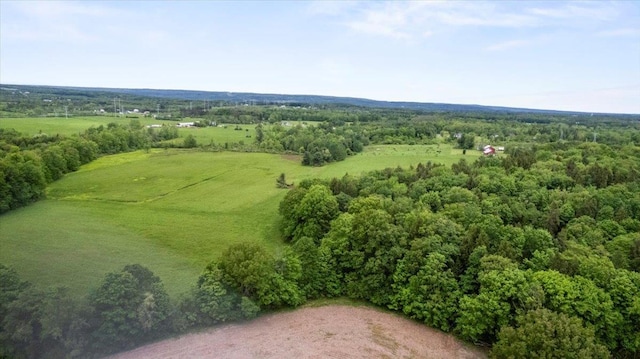 4248 Western Tpke, Call Listing Agent, NY 12009 - bird's eye view