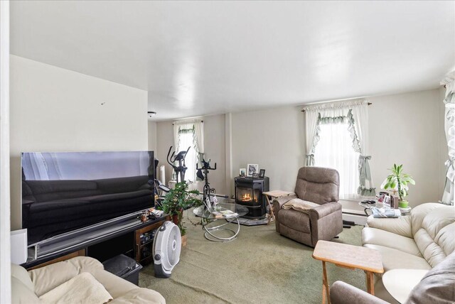 4248 Western Tpke, Call Listing Agent, NY 12009 - carpeted living area featuring a wood stove and a baseboard radiator