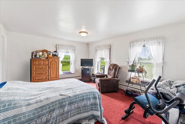 4248 Western Tpke, Call Listing Agent, NY 12009 - view of carpeted bedroom