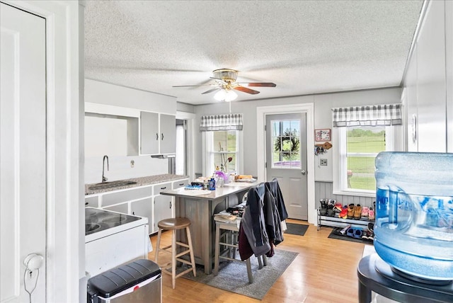 4248 Western Tpke, Call Listing Agent, NY 12009 - kitchen with a sink, plenty of natural light, light wood finished floors, a center island, and a textured ceiling